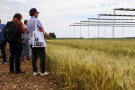 Männer stehen vor einem Feld