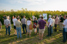 Menschengruppe steht vor einem Feld mit gelb blühender Rohstoffplfanze Durchwachsener Silphie