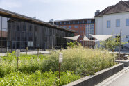 Verschiedene Energiepflanzen wachsen im Schaugarten des TFZ