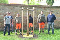 6 Personen stehen um einen Baum, auf dessen Stamm gerade das Mulchmaterial aufgetragen wurde.