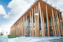 Das NAWAREUM - das neue Mitmach-Museum - wird von Baumstämmen umrankt