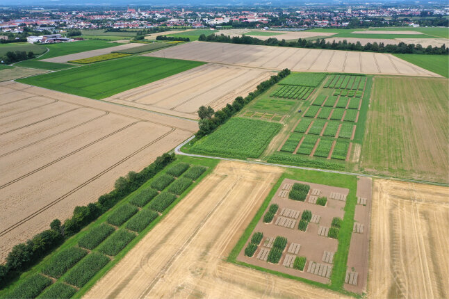 Versuchsfelder des TFZ im Vordergrund, die Umrisse der Stadt Straubing im Hintergrund