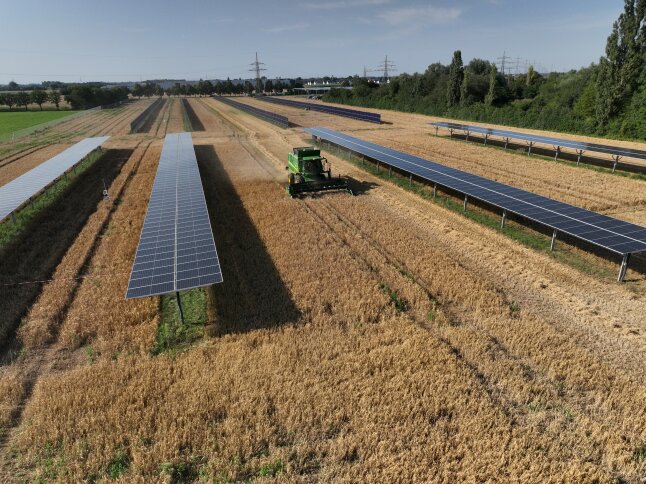 Mähdrescher fährt zwischen PV-Modulen
