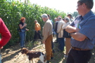 Feldtag 2014: Sorghum