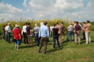 Feldtag 2016