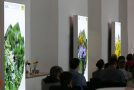 Drei beleuchtete Fotostelen mit unterschiedlichen Motiven, stehen hintereinander im Raum