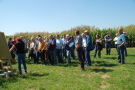 Feldtag 2014: Sorghum