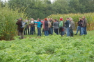 Feldtag 2014: Sidamalve