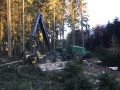 Holzaufarbeitung mit einem Holzvollernter