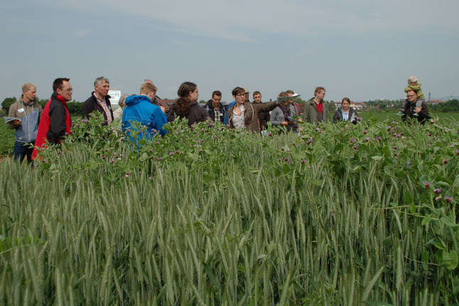 Feldtag am 28.05.2015 im Straubinger Schaugarten