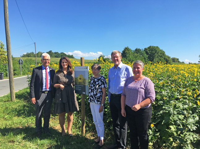 Die Projektbeteiligten stehen vor einem Feld mit Durchwachsener Silphie