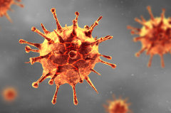 Rötliche Kugel mit spitzen und stumpfen Dornen, die den Cornoa-Virus darstellen soll