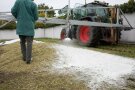 Person steht einem Silohaufen, der von Traktor mit Gerät mit weißen Material bespritzt wird.