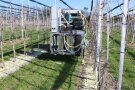 Man sieht von hinten ein Versuchsanbaugerät an einem Traktor, der durch eine Obstplantage fährt im Frühjar und gelbe Materialstreifen entlang Bäumen appliziert.