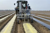 Traktor mit Anbaugerät fährt über Acker und sprüht gelbe Flüssigkeit in Reihen.
