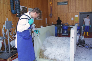 Mitarbeiter spritzt flüssige Silageabdeckung auf Testsilo auf