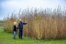 Mann und Frau messen zusammen Pflanzen am Feld aus