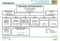 TFZ-Organigramm